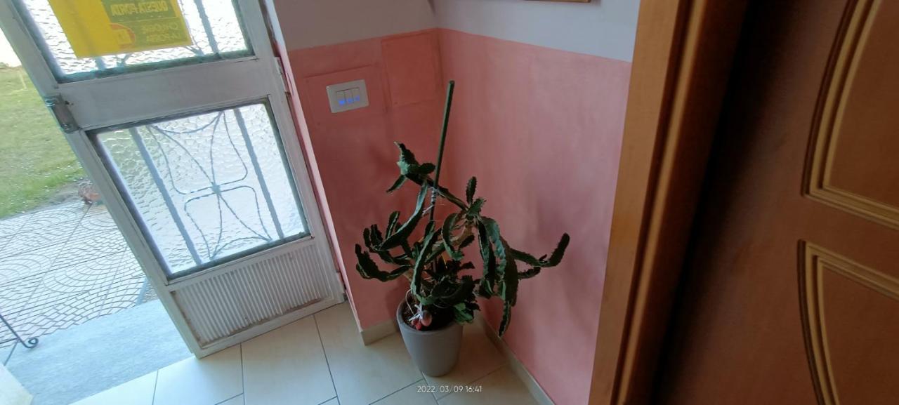 La Magnolia B&B Gassino Torinese Екстер'єр фото