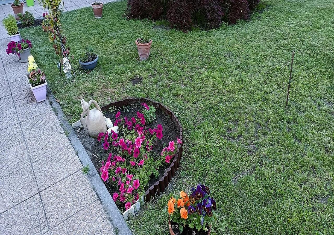 La Magnolia B&B Gassino Torinese Екстер'єр фото