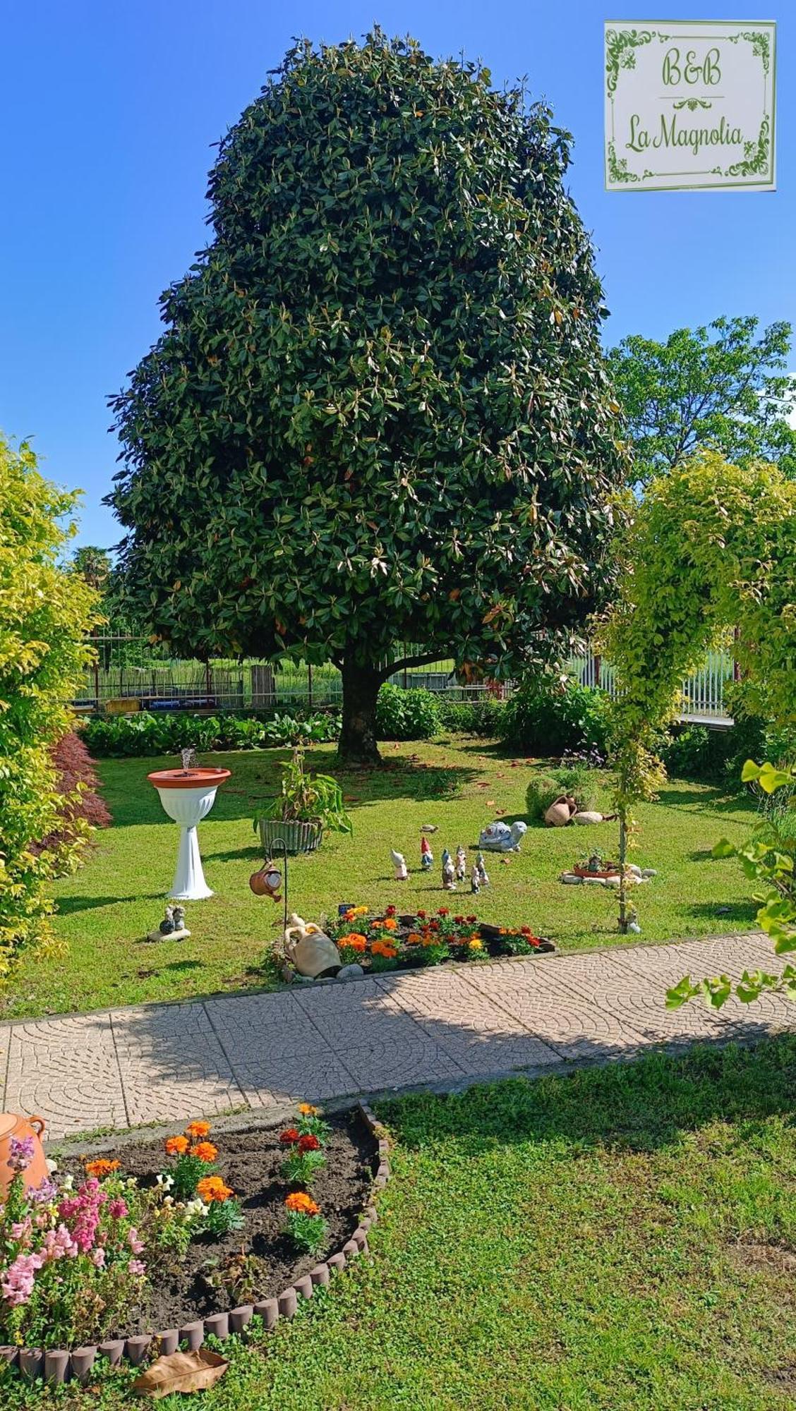 La Magnolia B&B Gassino Torinese Екстер'єр фото